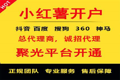 行业领先的SEM投放效果案例解析